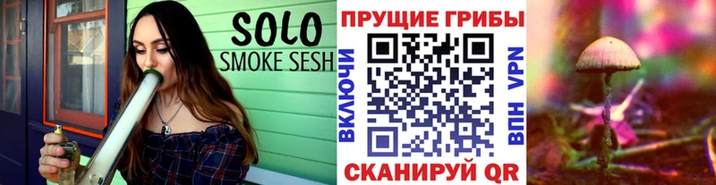 Купить  Верхотурье  Псилоцибиновые грибы Psilocybe 